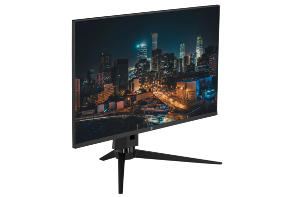 2E Монiтор LCD 31.5″ D3220B