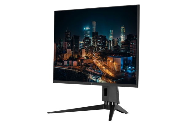 2E Монiтор LCD 31.5″ D3220B