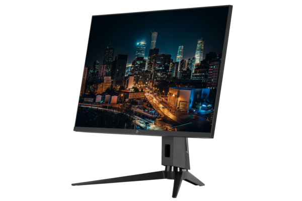 2E Монiтор LCD 31.5″ D3220B