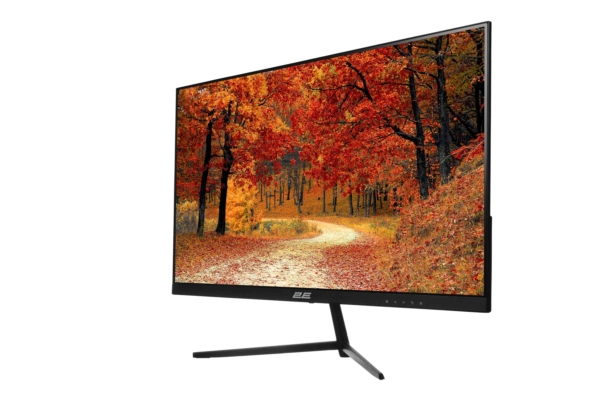 Монитор 2E D2421B Black