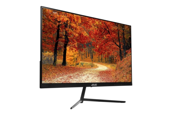 Монитор 2E D2421B Black