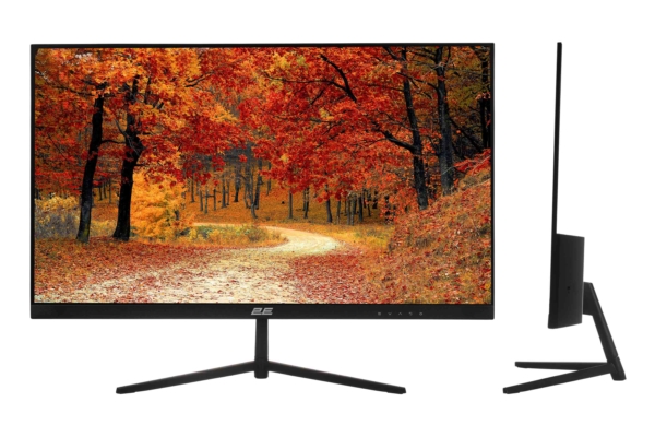 Монитор 2E D2421B Black