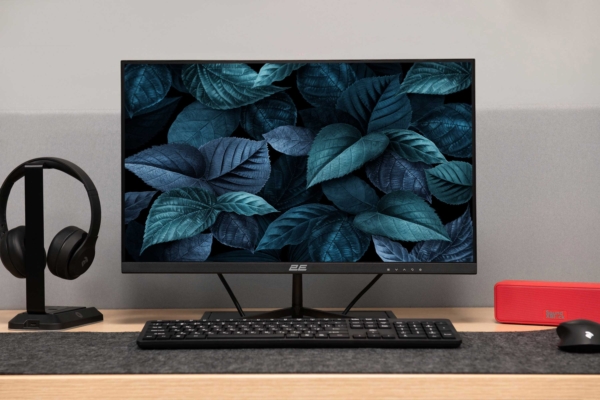Монитор 2E D2421B Black