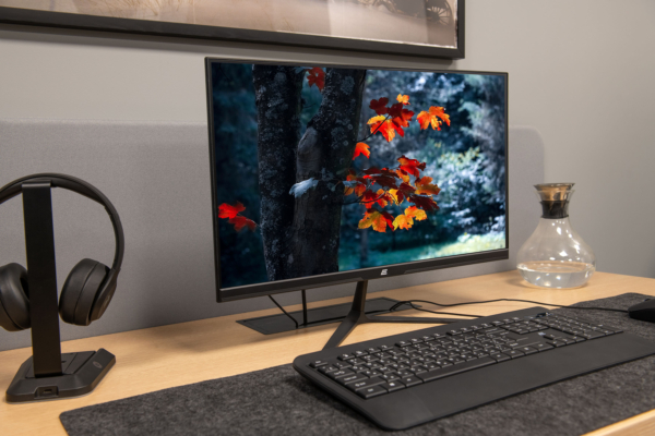 2E Монітор LCD 23.8″ C2420B