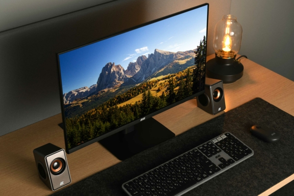 Monitor 2E F2422B Black