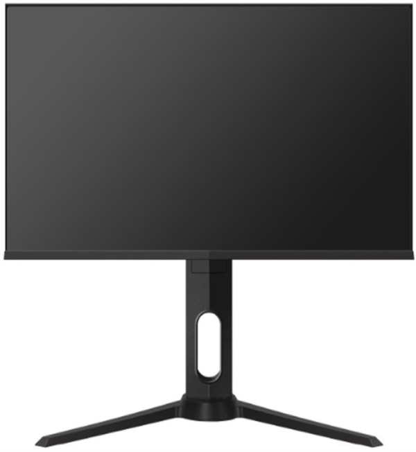 Monitor 2E H2420B Black