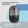 2E Мышь MF218 Silent WL BT Black/Gray