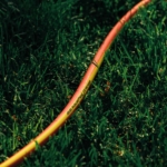 2E Шланг садовый AquaFlex Orange 3/4″ 50м 4 слоя 20бар -10…+60°C