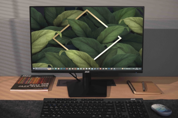 2E Монитор 23.8″ B2424B D-Sub, HDMI, VA, 100Hz, FreeSync